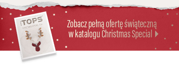 Zobacz katalogi Christmas Special